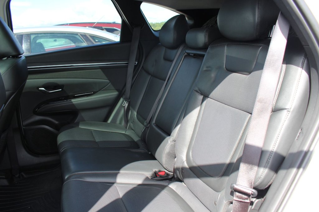 2023 Hyundai Tucson Trend | Lthr | SunRoof | Cam | Warranty to 2028 in Saint John, New Brunswick - 44 - w1024h768px