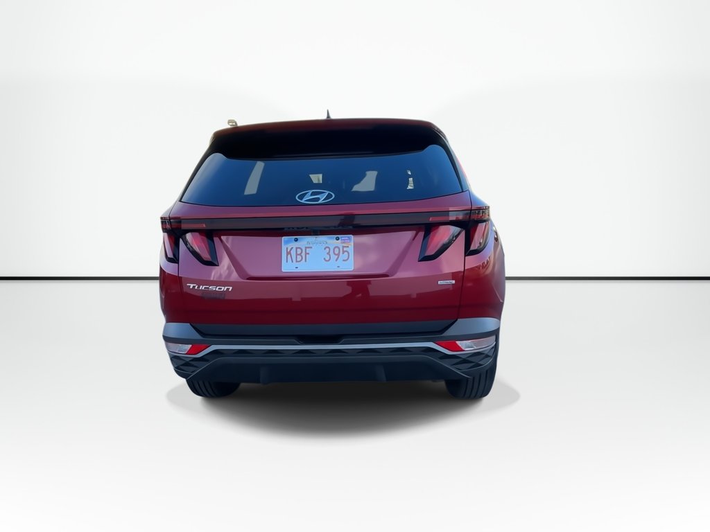 2023 Hyundai Tucson in Antigonish, Nova Scotia - 7 - w1024h768px