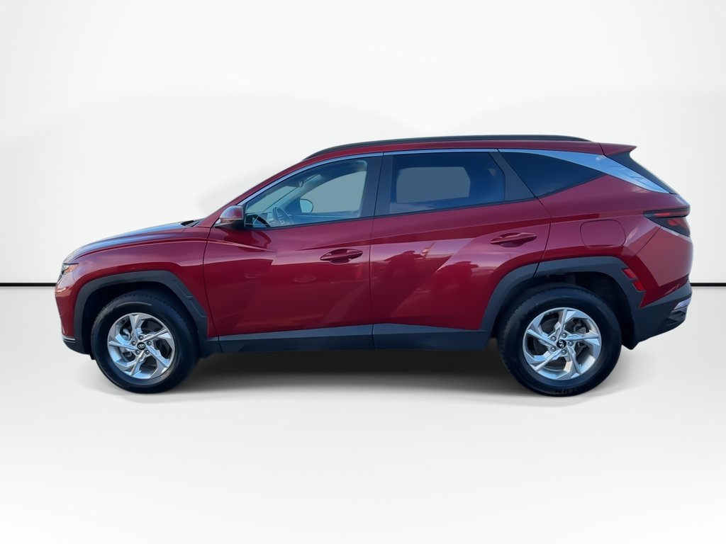 2023 Hyundai Tucson in Antigonish, Nova Scotia - 5 - w1024h768px