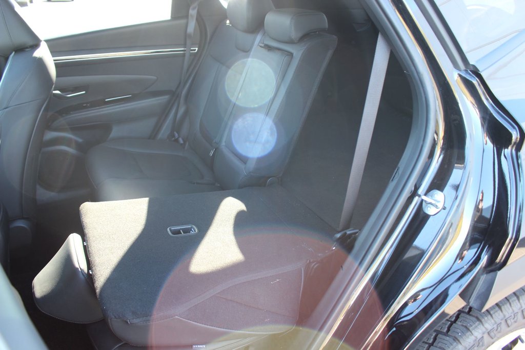 2024 Hyundai Tucson Trend | Roof | HtdSeats | Cam | Warranty to 2029 in Saint John, New Brunswick - 39 - w1024h768px