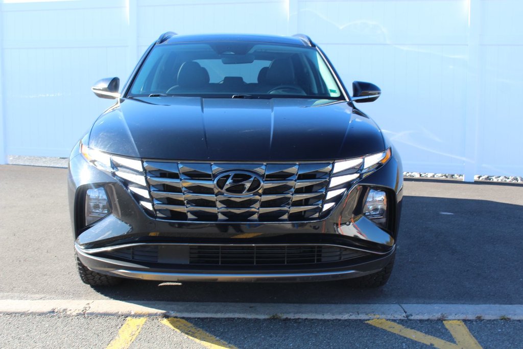 2024 Hyundai Tucson Trend | Roof | HtdSeats | Cam | Warranty to 2029 in Saint John, New Brunswick - 2 - w1024h768px
