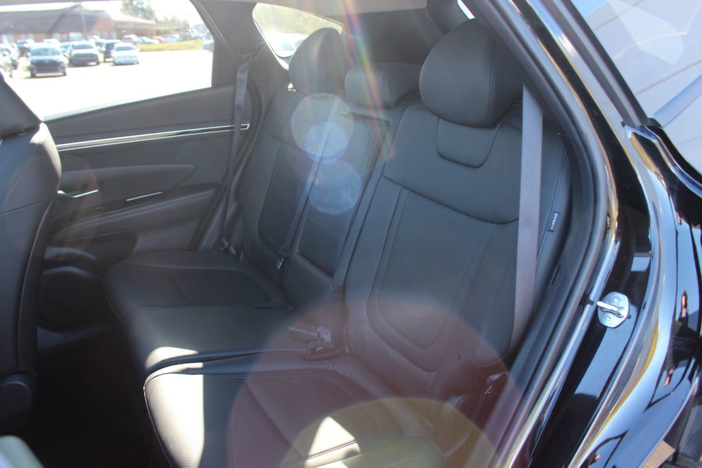 2024 Hyundai Tucson Trend | Roof | HtdSeats | Cam | Warranty to 2029 in Saint John, New Brunswick - 38 - w1024h768px