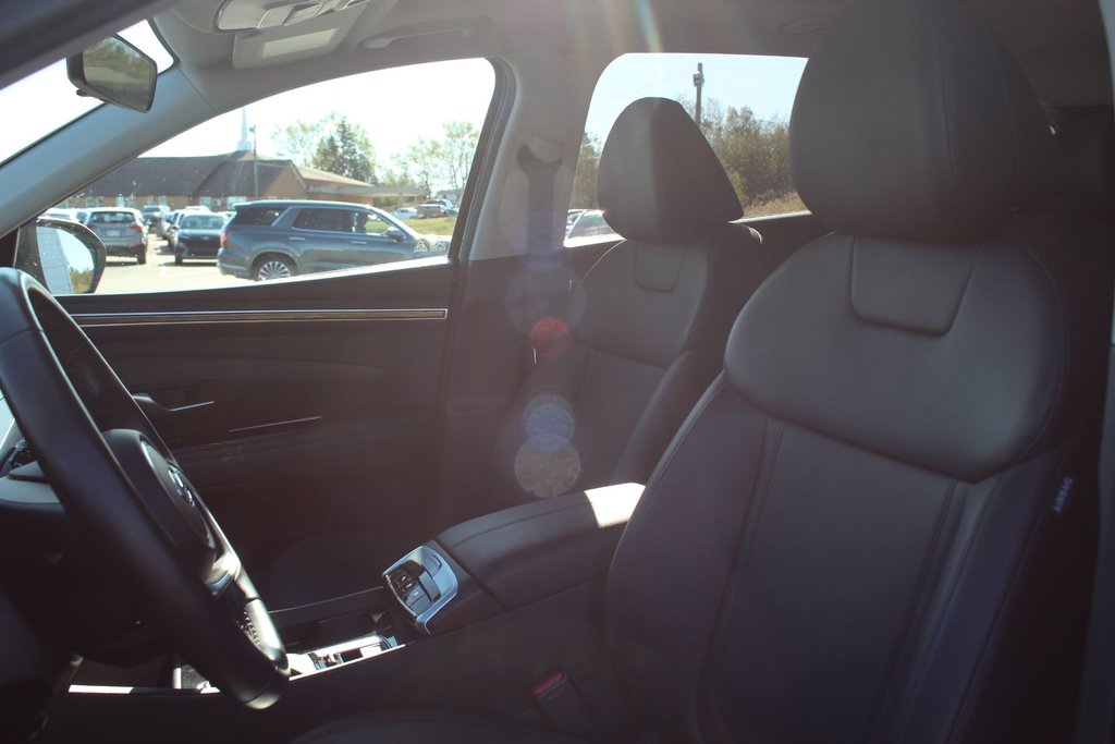 2024 Hyundai Tucson Trend | Roof | HtdSeats | Cam | Warranty to 2029 in Saint John, New Brunswick - 10 - w1024h768px