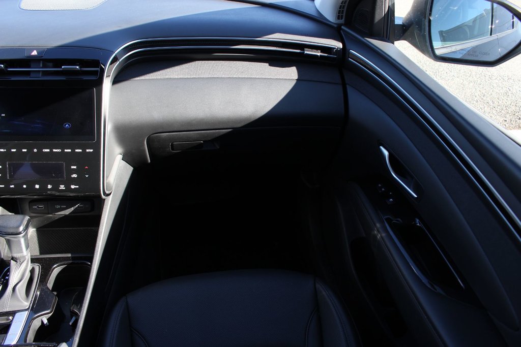 2024 Hyundai Tucson Trend | Roof | HtdSeats | Cam | Warranty to 2029 in Saint John, New Brunswick - 31 - w1024h768px