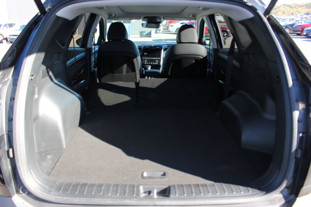 2024 Hyundai Tucson Trend | Roof | HtdSeats | Cam | Warranty to 2029 in Saint John, New Brunswick - 41 - w1024h768px