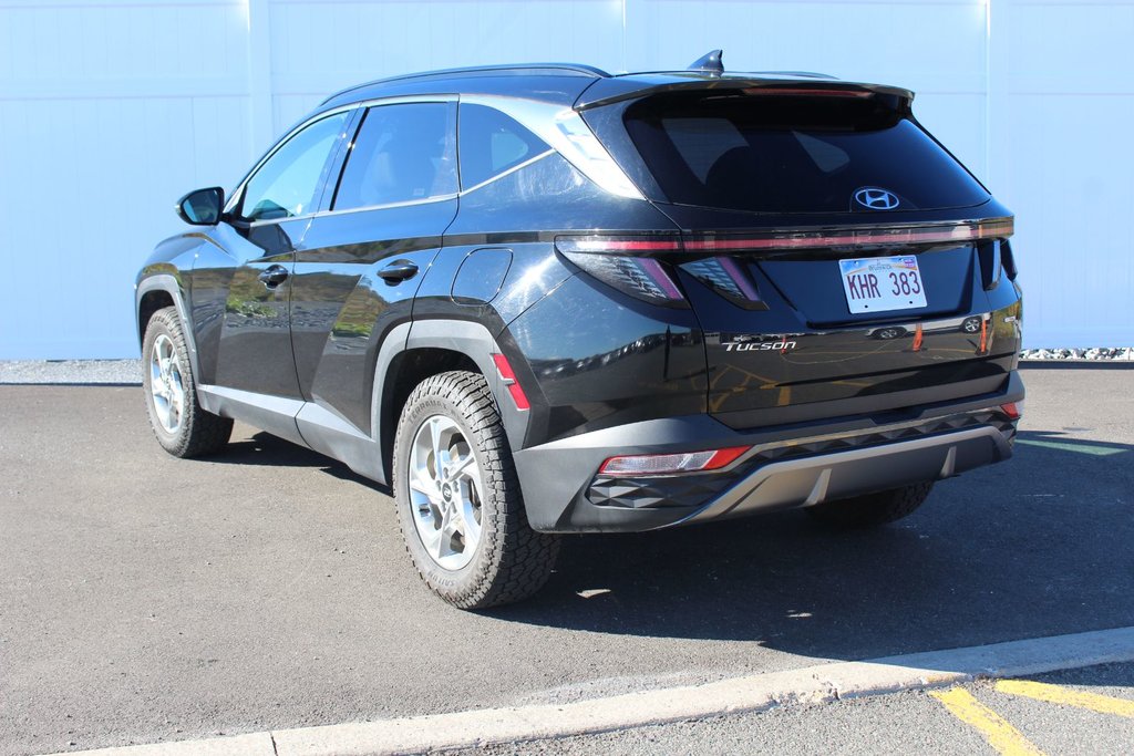 2024 Hyundai Tucson Trend | Roof | HtdSeats | Cam | Warranty to 2029 in Saint John, New Brunswick - 5 - w1024h768px