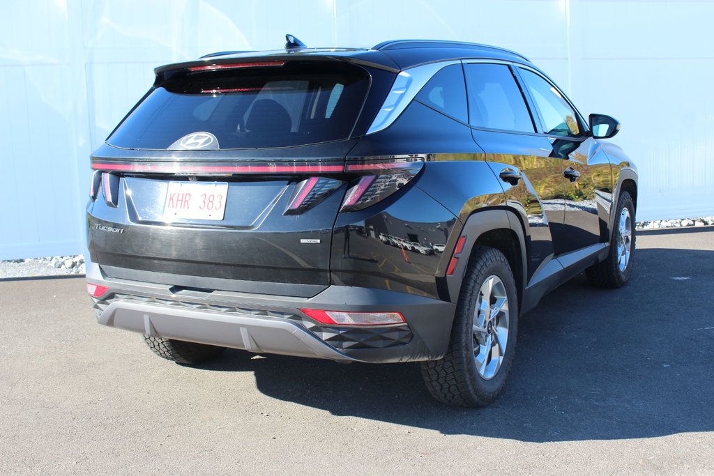 2024 Hyundai Tucson Trend | Roof | HtdSeats | Cam | Warranty to 2029 in Saint John, New Brunswick - 7 - w1024h768px