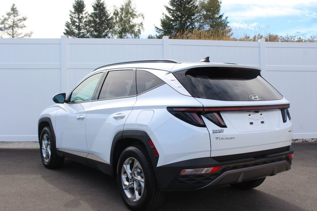 2024 Hyundai Tucson Trend | Roof | HtdSeats | Cam | Warranty to 2029 in Saint John, New Brunswick - 5 - w1024h768px
