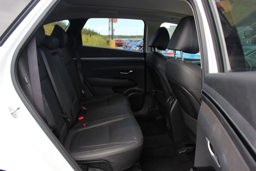 2024 Hyundai Tucson Trend | Roof | HtdSeats | Cam | Warranty to 2029 in Saint John, New Brunswick - 43 - w1024h768px