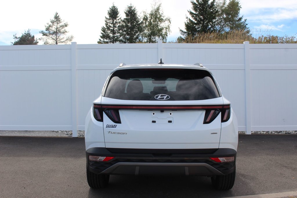 2024 Hyundai Tucson Trend | Roof | HtdSeats | Cam | Warranty to 2029 in Saint John, New Brunswick - 4 - w1024h768px