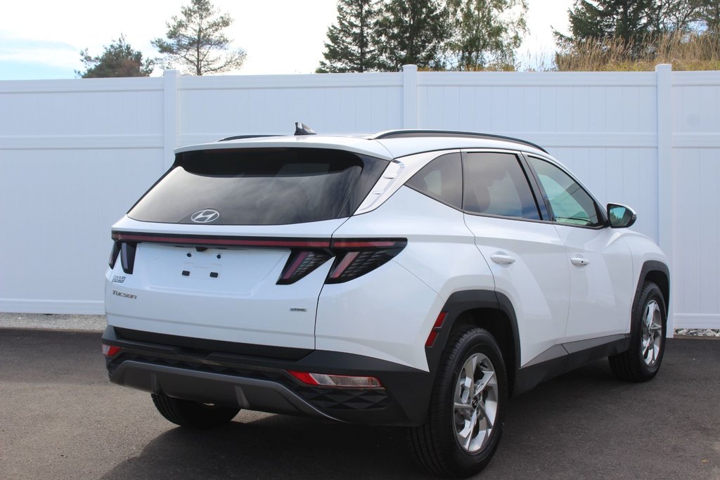 2024 Hyundai Tucson Trend | Roof | HtdSeats | Cam | Warranty to 2029 in Saint John, New Brunswick - 3 - w1024h768px