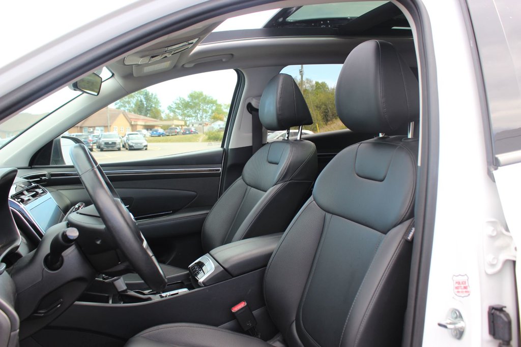 2024 Hyundai Tucson Trend | Roof | HtdSeats | Cam | Warranty to 2029 in Saint John, New Brunswick - 31 - w1024h768px