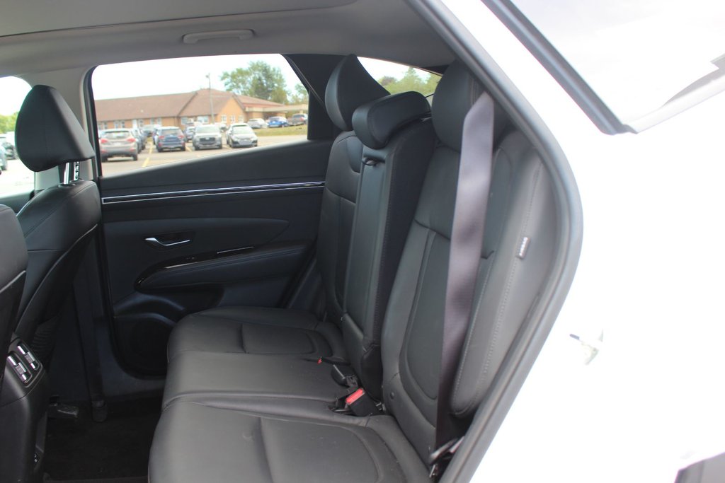 2024 Hyundai Tucson Trend | Roof | HtdSeats | Cam | Warranty to 2029 in Saint John, New Brunswick - 38 - w1024h768px