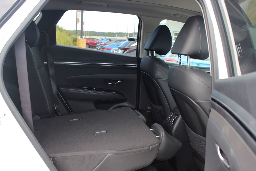 2024 Hyundai Tucson Trend | Roof | HtdSeats | Cam | Warranty to 2029 in Saint John, New Brunswick - 45 - w1024h768px