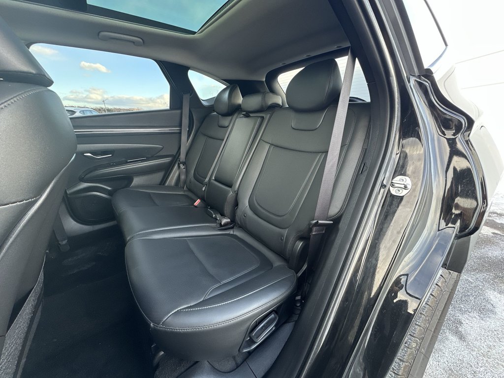 Hyundai Tucson Trend | Roof | HtdSeats | Cam | Warranty to 2029 2024 à Saint John, Nouveau-Brunswick - 32 - w1024h768px