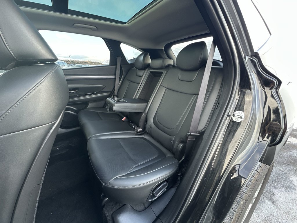 Hyundai Tucson Trend | Roof | HtdSeats | Cam | Warranty to 2029 2024 à Saint John, Nouveau-Brunswick - 33 - w1024h768px