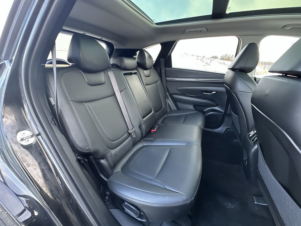 Hyundai Tucson Trend | Roof | HtdSeats | Cam | Warranty to 2029 2024 à Saint John, Nouveau-Brunswick - 39 - w1024h768px