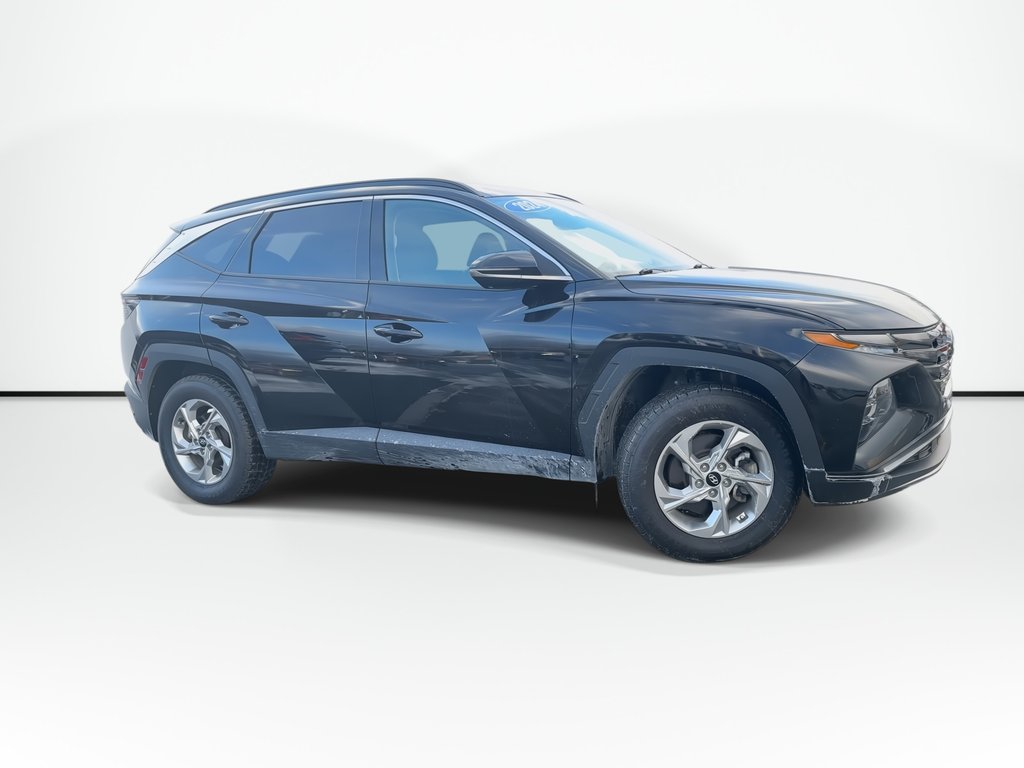 Hyundai Tucson Trend | Roof | HtdSeats | Cam | Warranty to 2029 2024 à Saint John, Nouveau-Brunswick - 2 - w1024h768px