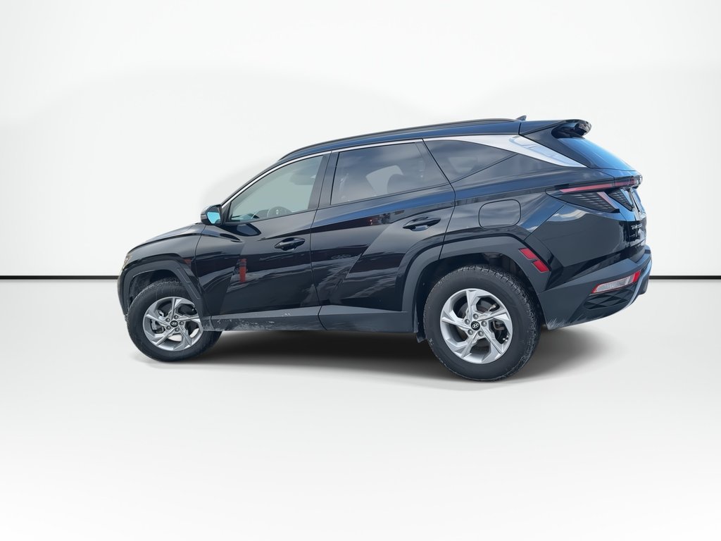 Hyundai Tucson Trend | Roof | HtdSeats | Cam | Warranty to 2029 2024 à Saint John, Nouveau-Brunswick - 6 - w1024h768px