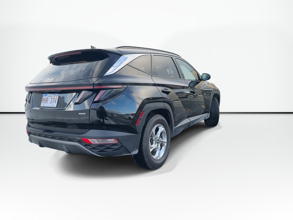 Hyundai Tucson Trend | Roof | HtdSeats | Cam | Warranty to 2029 2024 à Saint John, Nouveau-Brunswick - 8 - w1024h768px
