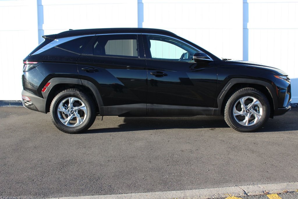 2024 Hyundai Tucson Trend | Roof | HtdSeats | Cam | Warranty to 2029 in Saint John, New Brunswick - 8 - w1024h768px