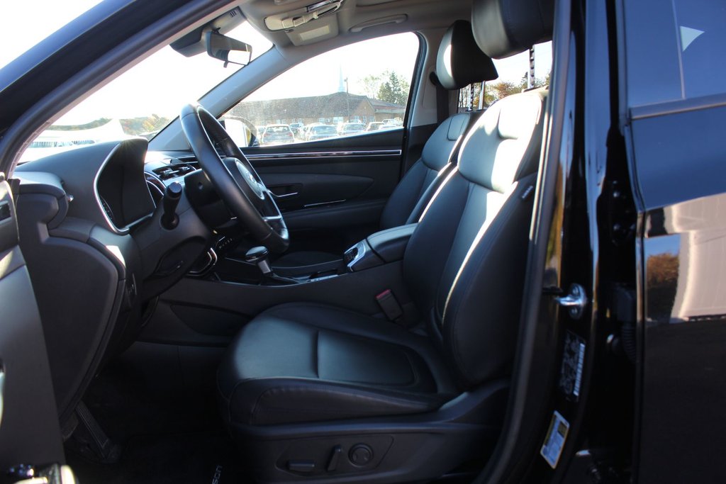 2024 Hyundai Tucson Trend | Roof | HtdSeats | Cam | Warranty to 2029 in Saint John, New Brunswick - 12 - w1024h768px