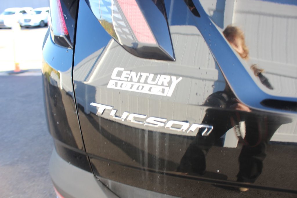 2024 Hyundai Tucson Trend | Roof | HtdSeats | Cam | Warranty to 2029 in Saint John, New Brunswick - 9 - w1024h768px
