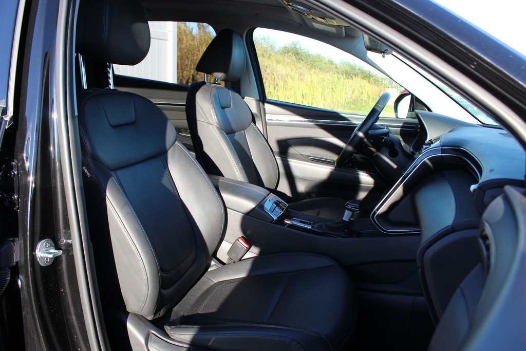 2024 Hyundai Tucson Trend | Roof | HtdSeats | Cam | Warranty to 2029 in Saint John, New Brunswick - 53 - w1024h768px