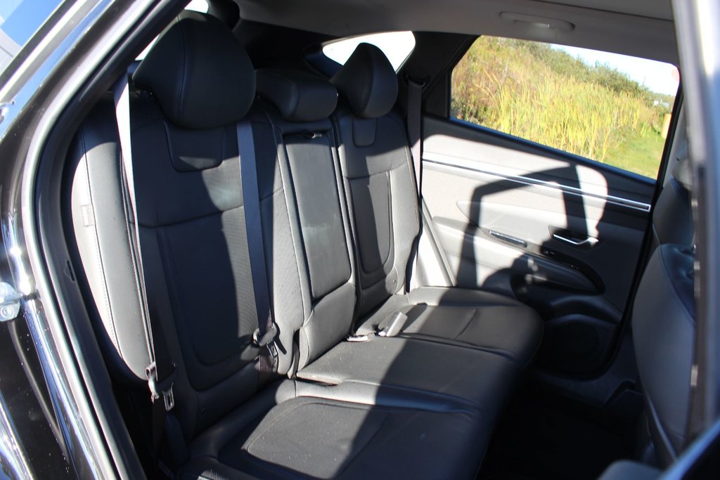 2024 Hyundai Tucson Trend | Roof | HtdSeats | Cam | Warranty to 2029 in Saint John, New Brunswick - 49 - w1024h768px