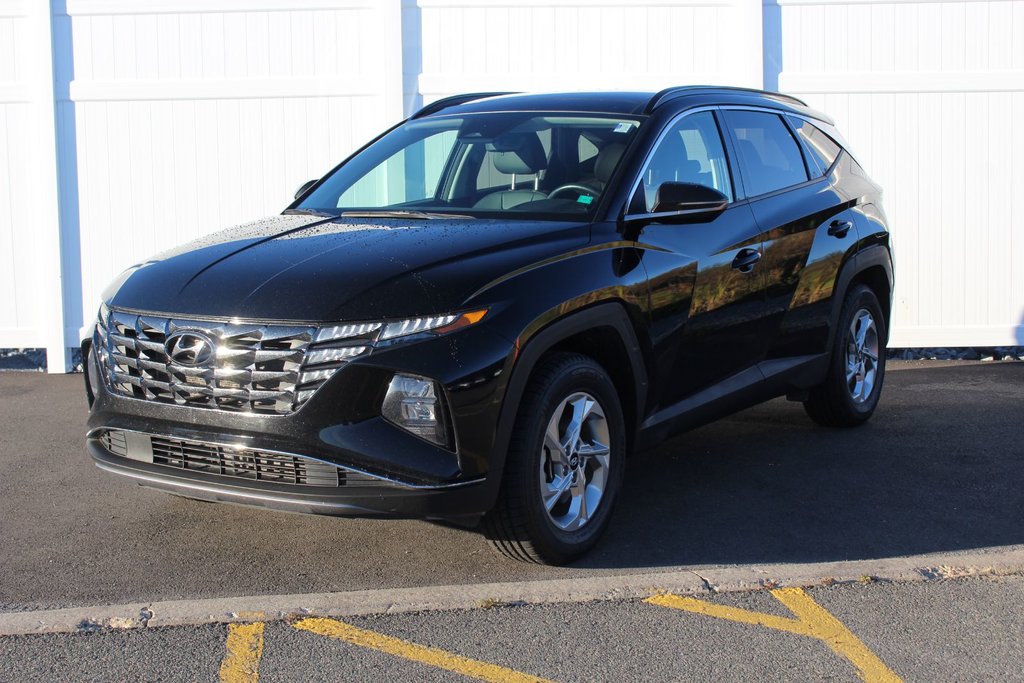 2024 Hyundai Tucson Trend | Roof | HtdSeats | Cam | Warranty to 2029 in Saint John, New Brunswick - 3 - w1024h768px