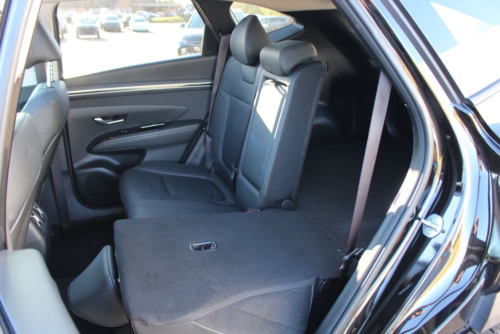 2024 Hyundai Tucson Trend | Roof | HtdSeats | Cam | Warranty to 2029 in Saint John, New Brunswick - 43 - w1024h768px