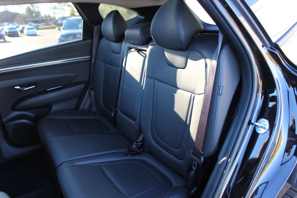 2024 Hyundai Tucson Trend | Roof | HtdSeats | Cam | Warranty to 2029 in Saint John, New Brunswick - 42 - w1024h768px