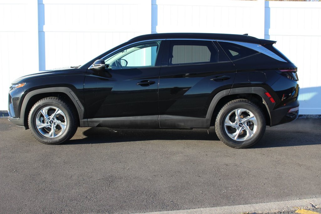 2024 Hyundai Tucson Trend | Roof | HtdSeats | Cam | Warranty to 2029 in Saint John, New Brunswick - 4 - w1024h768px