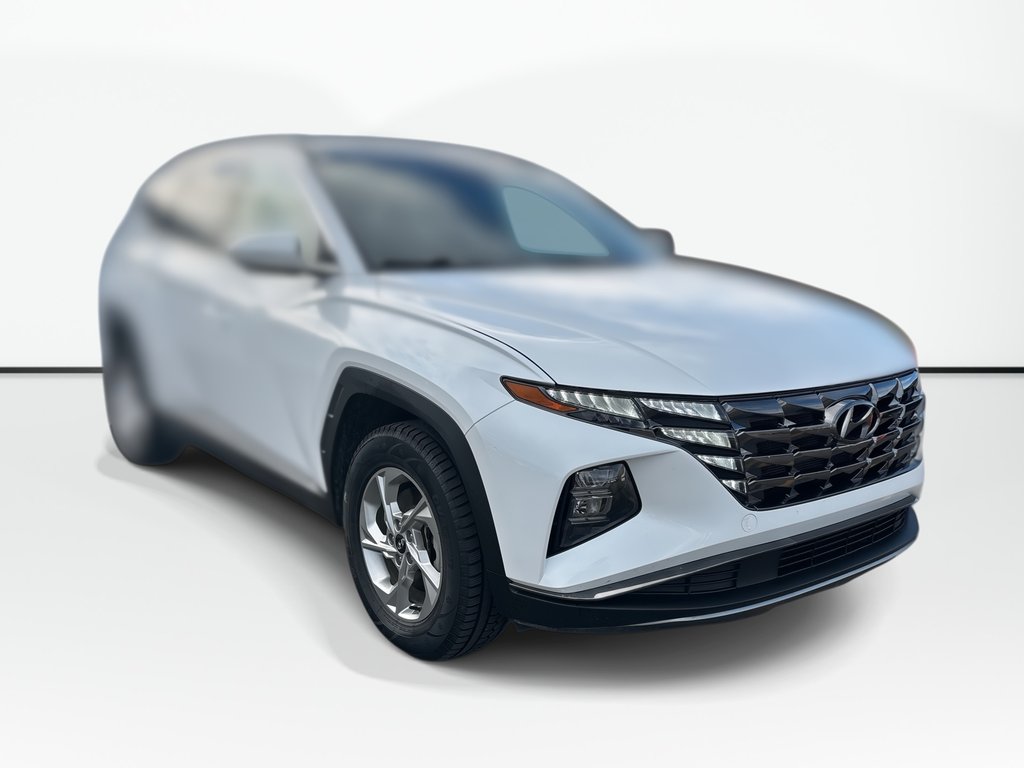 2024 Hyundai Tucson in Antigonish, Nova Scotia - 1 - w1024h768px