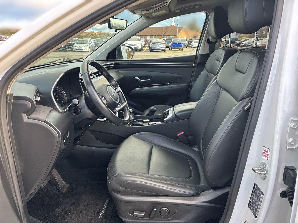 2024 Hyundai Tucson in Antigonish, Nova Scotia - 13 - w1024h768px