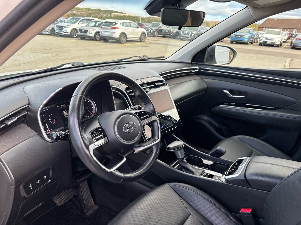 2024 Hyundai Tucson in Antigonish, Nova Scotia - 12 - w1024h768px