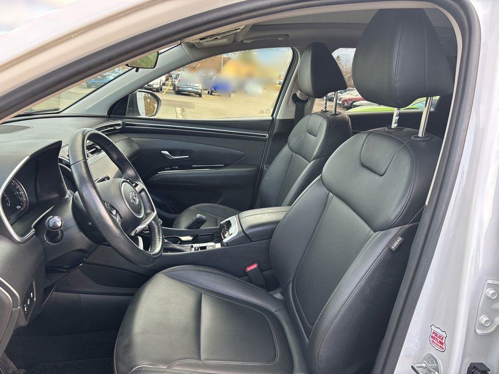2024 Hyundai Tucson in Antigonish, Nova Scotia - 11 - w1024h768px