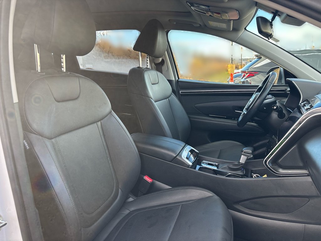 2024 Hyundai Tucson in Antigonish, Nova Scotia - 40 - w1024h768px
