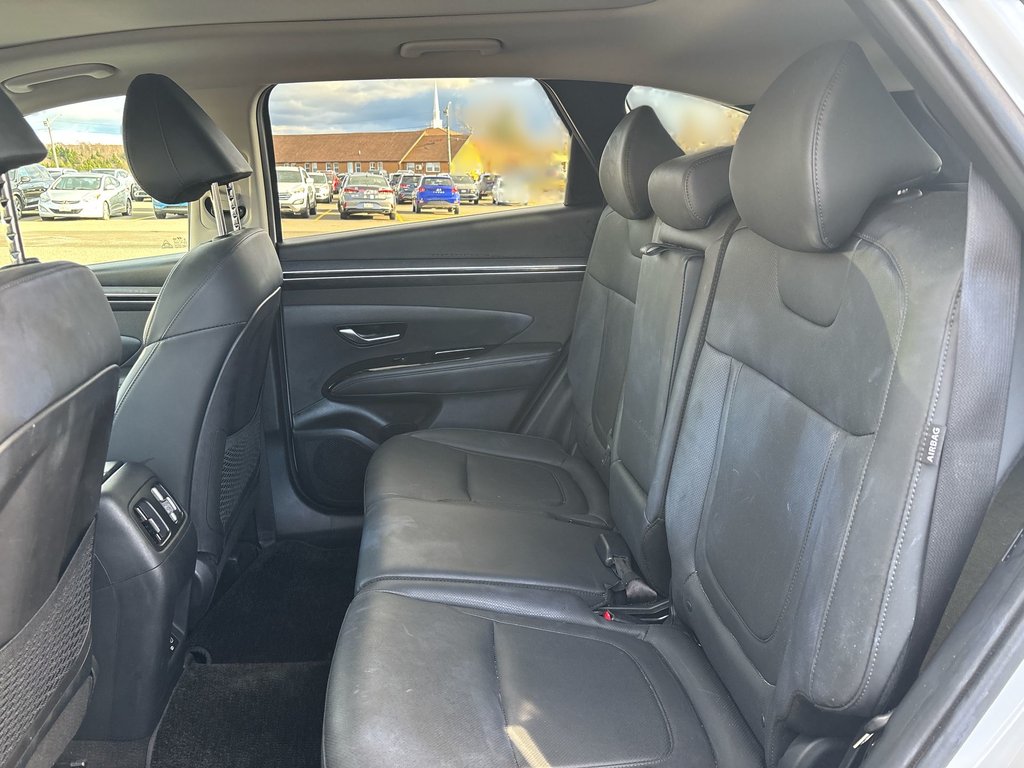 2024 Hyundai Tucson in Antigonish, Nova Scotia - 30 - w1024h768px