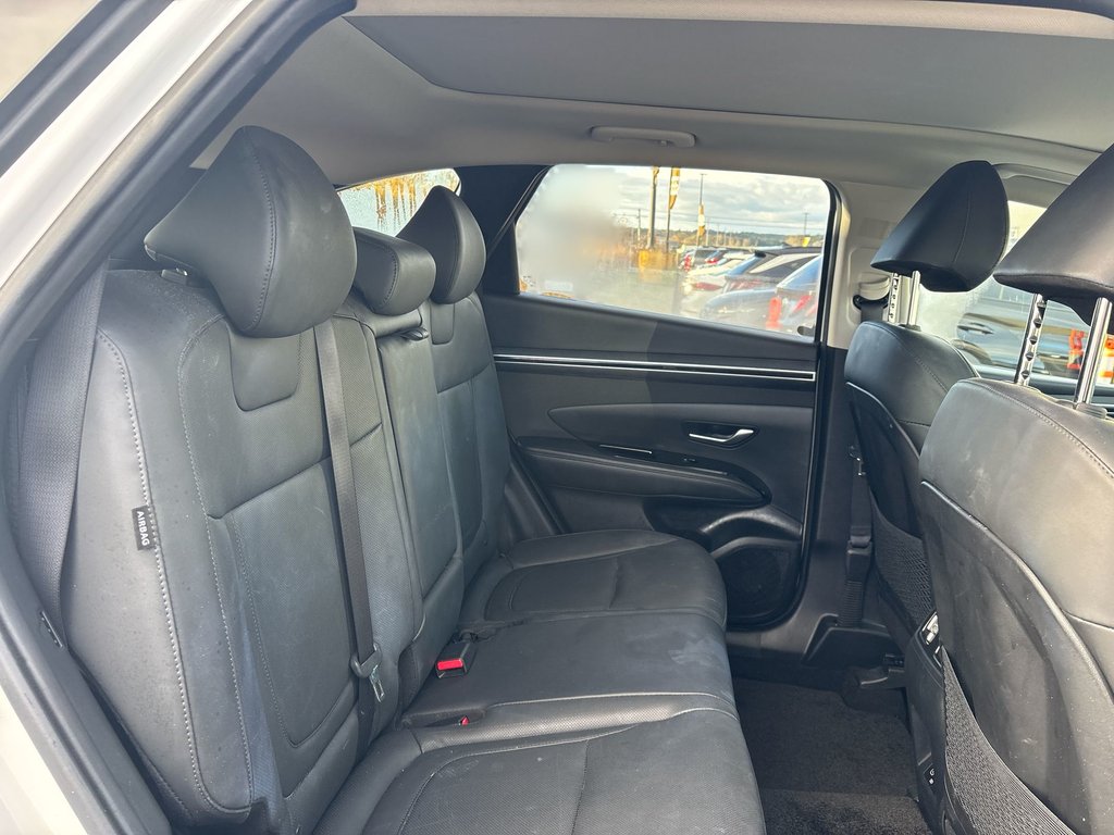 2024 Hyundai Tucson in Antigonish, Nova Scotia - 37 - w1024h768px