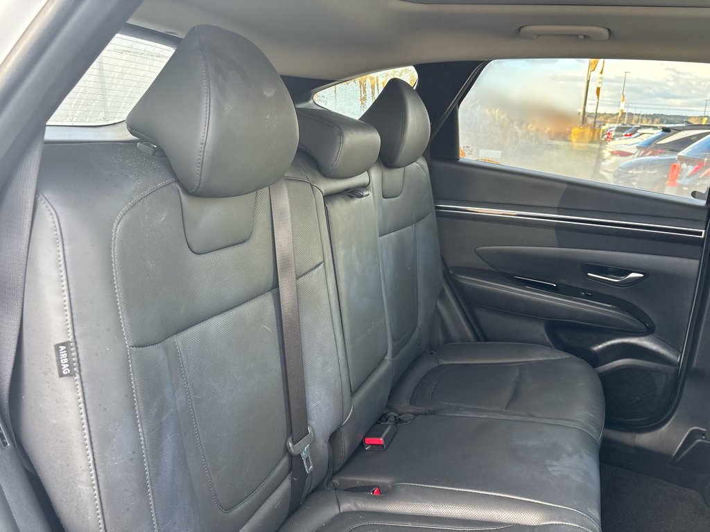 2024 Hyundai Tucson in Antigonish, Nova Scotia - 38 - w1024h768px