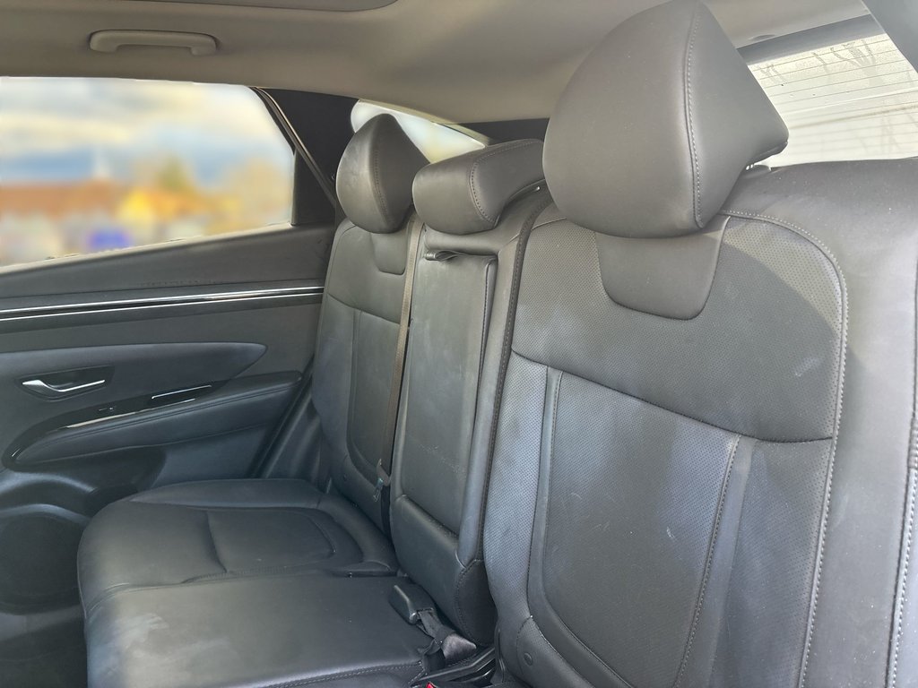 2024 Hyundai Tucson in Antigonish, Nova Scotia - 32 - w1024h768px