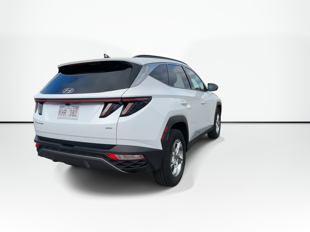 2024 Hyundai Tucson in Antigonish, Nova Scotia - 7 - w1024h768px
