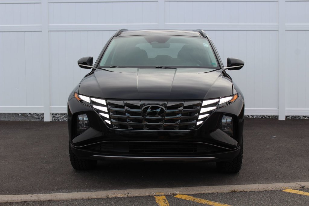 2024 Hyundai Tucson Trend | Roof | HtdSeats | Cam | Warranty to 2029 in Saint John, New Brunswick - 2 - w1024h768px