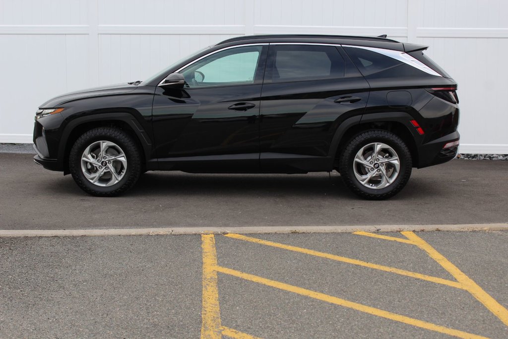 2024 Hyundai Tucson Trend | Roof | HtdSeats | Cam | Warranty to 2029 in Saint John, New Brunswick - 4 - w1024h768px