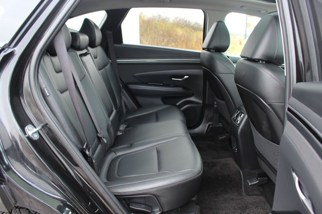 2024 Hyundai Tucson Trend | Roof | HtdSeats | Cam | Warranty to 2029 in Saint John, New Brunswick - 49 - w1024h768px