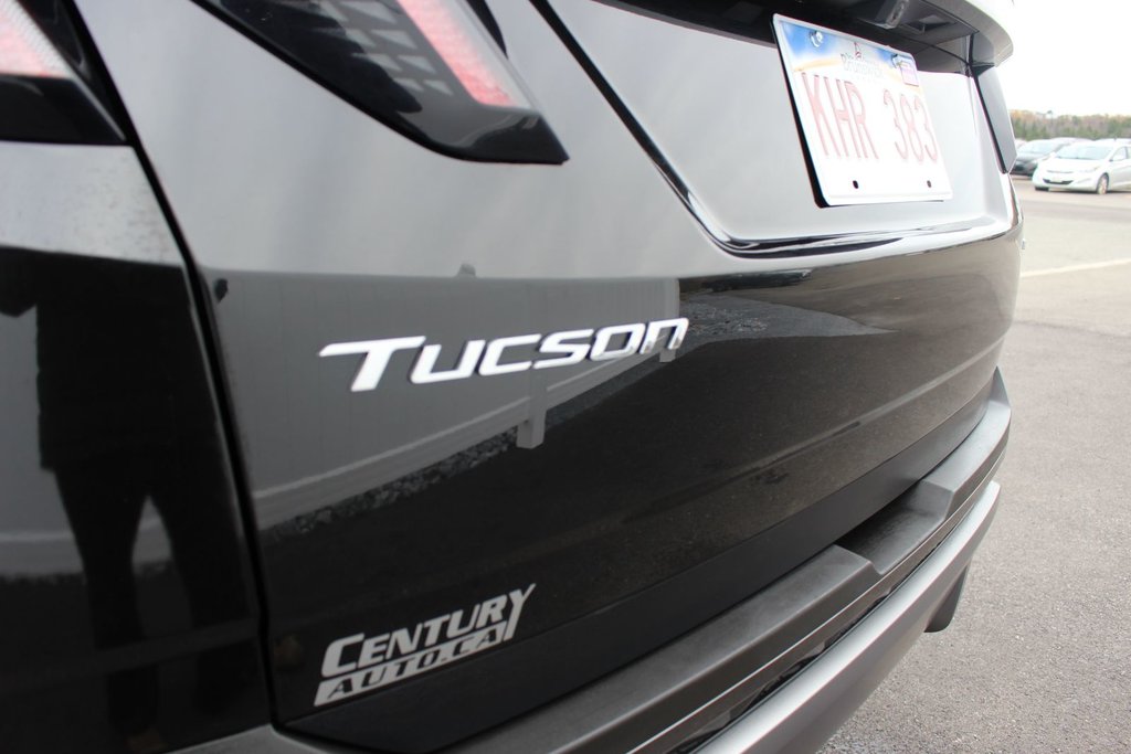 2024 Hyundai Tucson Trend | Roof | HtdSeats | Cam | Warranty to 2029 in Saint John, New Brunswick - 9 - w1024h768px