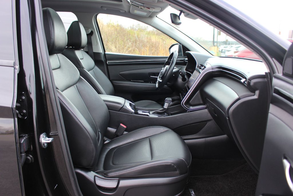 2024 Hyundai Tucson Trend | Roof | HtdSeats | Cam | Warranty to 2029 in Saint John, New Brunswick - 51 - w1024h768px