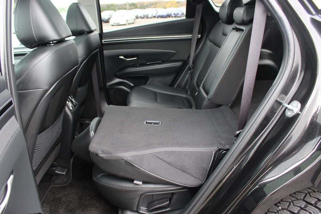 2024 Hyundai Tucson Trend | Roof | HtdSeats | Cam | Warranty to 2029 in Saint John, New Brunswick - 43 - w1024h768px