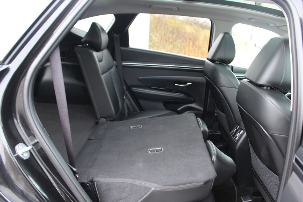 2024 Hyundai Tucson Trend | Roof | HtdSeats | Cam | Warranty to 2029 in Saint John, New Brunswick - 50 - w1024h768px